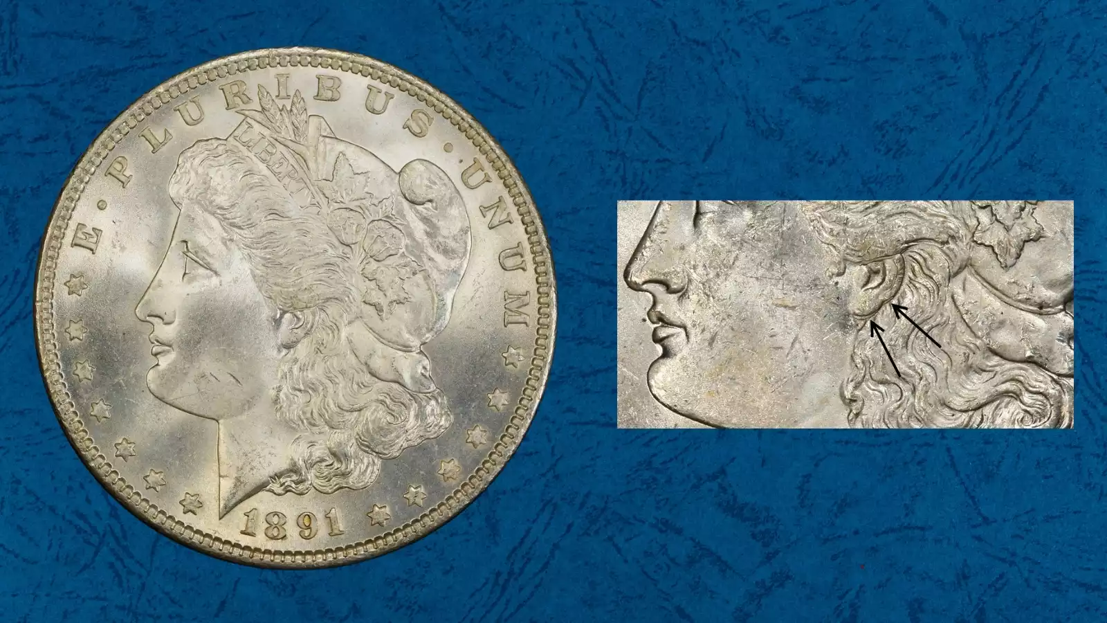 1891 Philadelphia Morgan dollar Doubled Ear VAM-2 close-up showing doubling on Liberty's earlobe